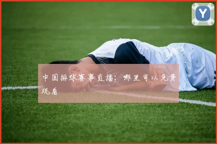 中国排球赛事直播：哪里可以免费观看