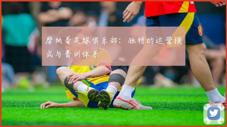 摩纳哥足球俱乐部：独特的运营模式与青训体系