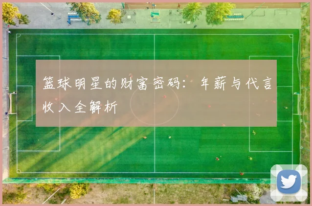 篮球明星的财富密码：年薪与代言收入全解析